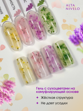 ALTA NIVELO   Gel Black ЦВЕТУЩАЯ ВЕСНА   15г   Гель для моделирования средне-жидкий с сухоцветами