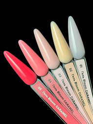BLOOM   Gel CARAMEL   #02   15мл   Гель для моделирования